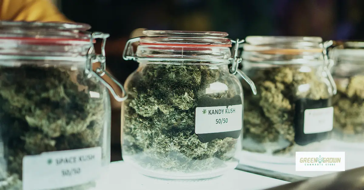 De legalisatie van CBD en cannabis in België: wat je moet weten