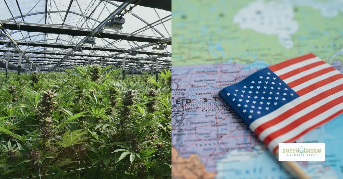 Lessen uit Noord-Amerika: Wat Europa kan leren over cannabis legalisering