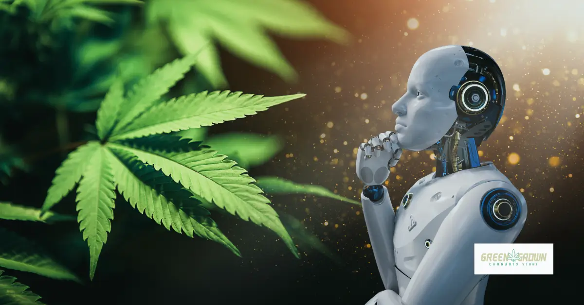 Wat kan AI betekenen voor de cannabisindustrie?