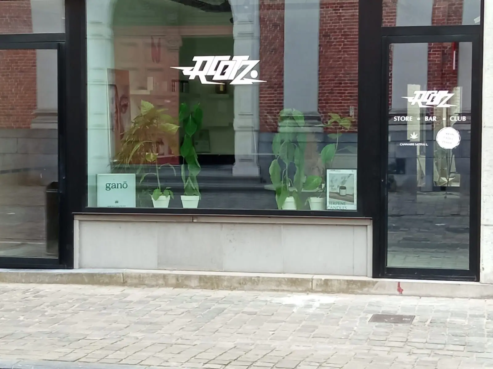De evolutie van CBD in Brugge: CBD-pionier Green Grown verwelkomt Rootz