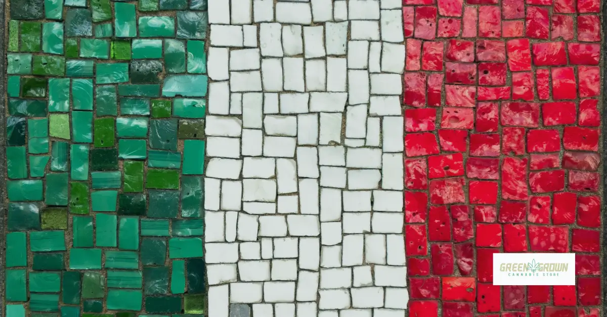 Italiaanse premier Meloni wil CBD opnieuw in de strafwet